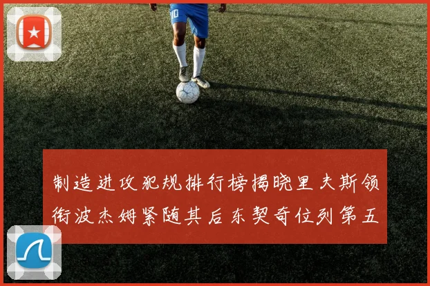 制造进攻犯规排行榜揭晓里夫斯领衔波杰姆紧随其后东契奇位列第五
