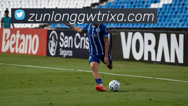 尊龙官网发展历程